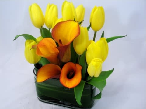 Yellow tulips and orange calla lilies in a dark glass vase