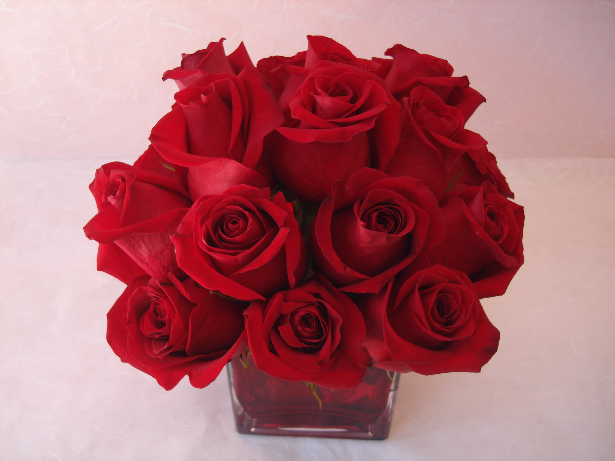 Bouquet of red roses in a square glass vase