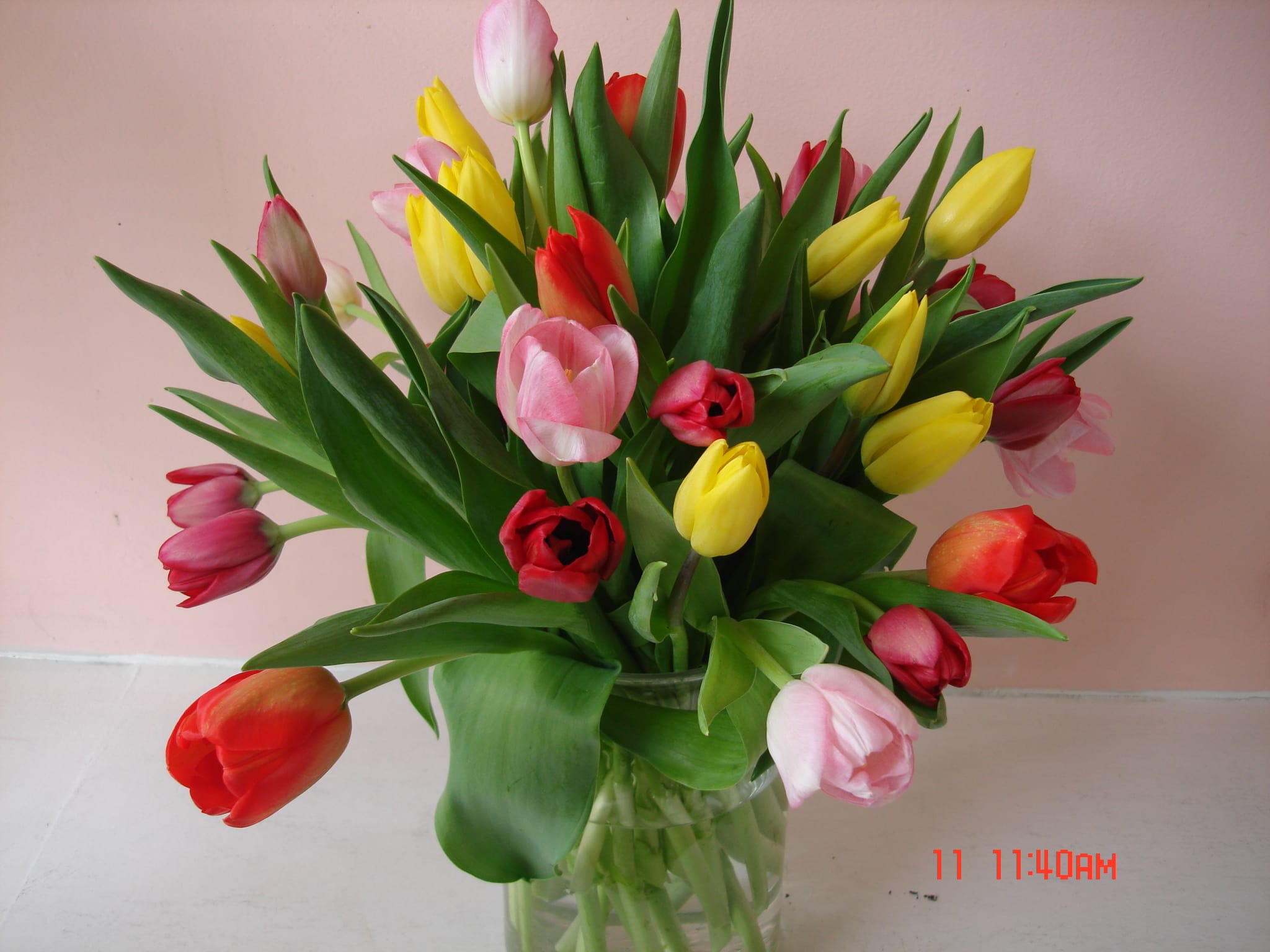 Bouquet of multicolored tulips in a clear glass vase