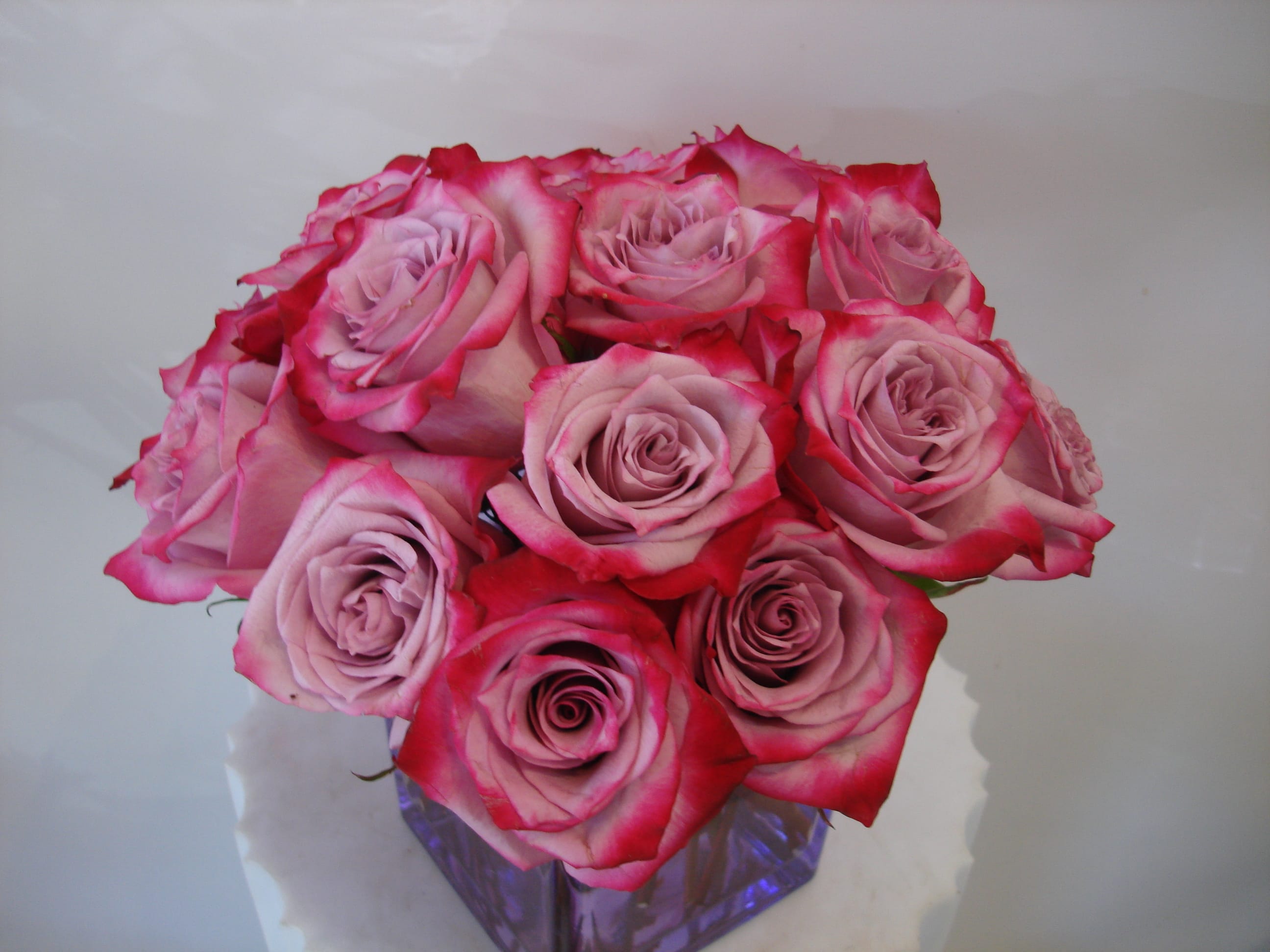 Bouquet of pink roses with red-edged petals in a glass vase