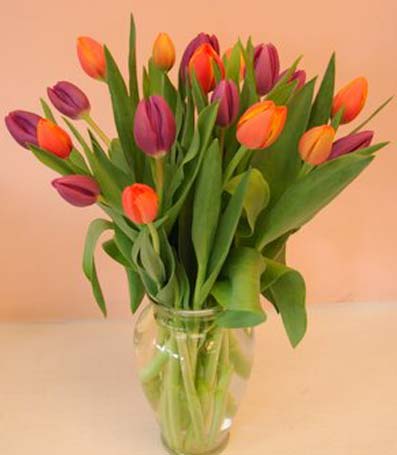 Bouquet of multicolored tulips in a clear glass vase