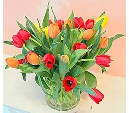 Lovely Tulips | Premium Flower Delivery in San Francisco - When you need a gesture that commands the room, look no further for your flower delivery in San Francisco. Fillmore Florist offers a masterclass in seasonal elegance with our "Lovely Tulips" collection. As a premier florist in San Francisco, our professional crew is dedicated to hand-crafting arrangements that arrive still fresh—delivered straight to your recipient’s front door. This vibrant, 30-stem masterpiece features a curated blend of pink, red, and yellow tulips, artfully arranged in a classic glass vase. It is a design engineered to put a smile on their face and a twinkle in their eye, making your loved one the absolute center of attention. The Fillmore Florist Strategic Differences include the following.   Verified Hand-Delivery: Unlike national floral conglomerates that ship flowers in cardboard boxes, we are a San Francisco florist that hand-delivers every vase. This ensures the structural integrity of the tulips remains intact.  30-Stem Guarantee: Every "Lovely Tulips" arrangement is audited for its 30-stem count (Pink, Red, and Yellow) before leaving our shop, protecting you from the "sparse" arrangements often delivered by third-party order gatherers.  Local Intelligence: Our delivery team knows the micro-climates and traffic patterns of the city, ensuring your San Francisco flower delivery is timed for date of delivery for maximum impact.  Approximate Dimensions: 18x11 Inches As Shown 