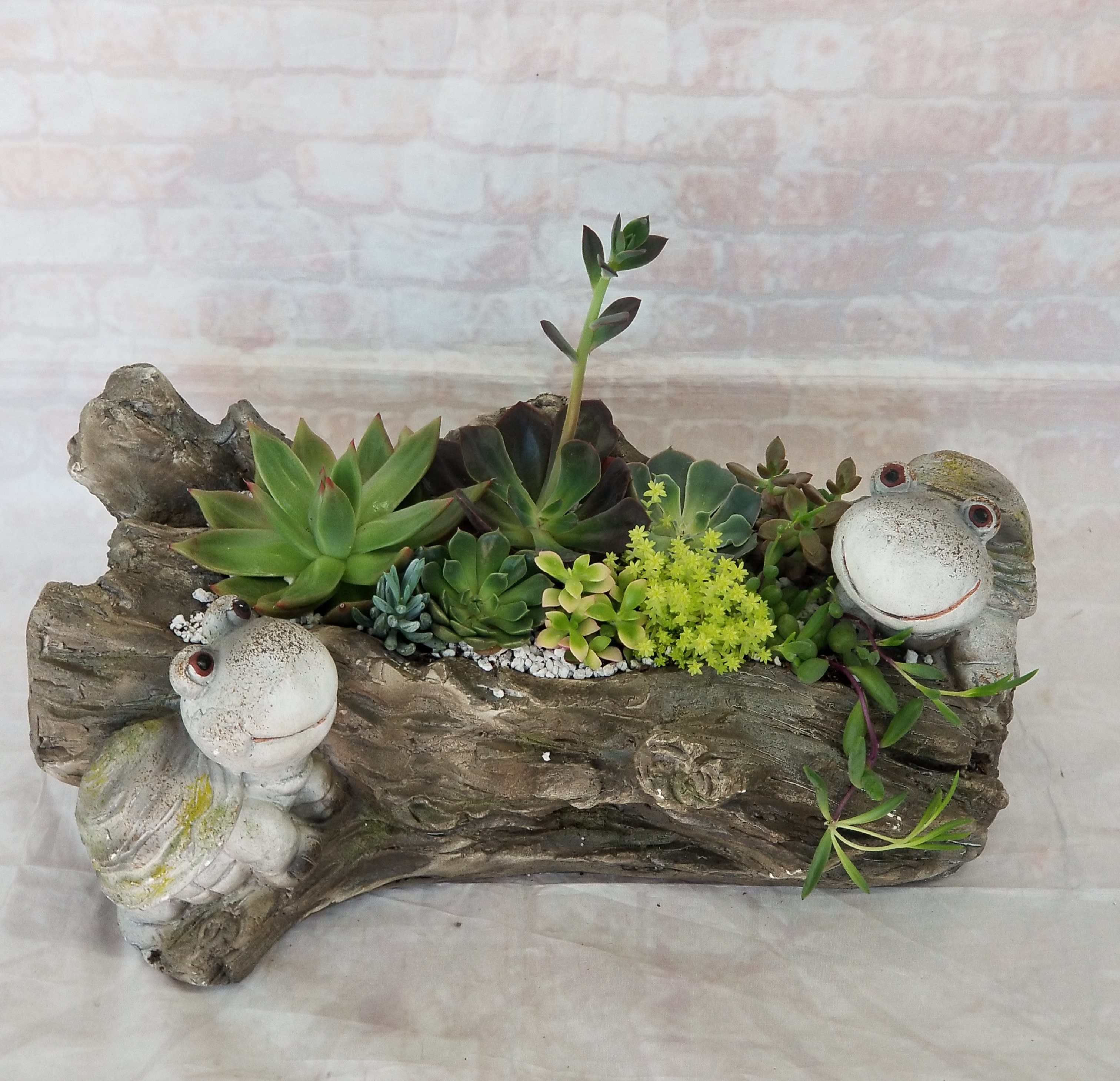 Succulent arrangement in a log-shaped planter with frog figurines