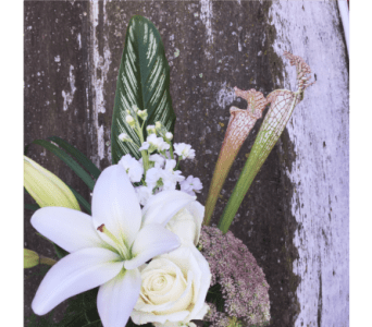 Soft and Subtle Mix - Let our designers create a soft mix of one of a kind flowers that will look well in any home!