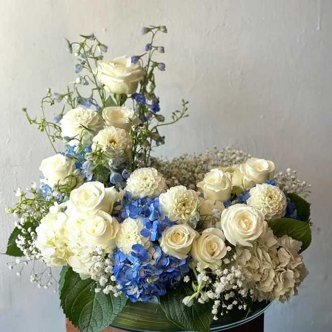White roses and blue hydrangeas arranged in a low container