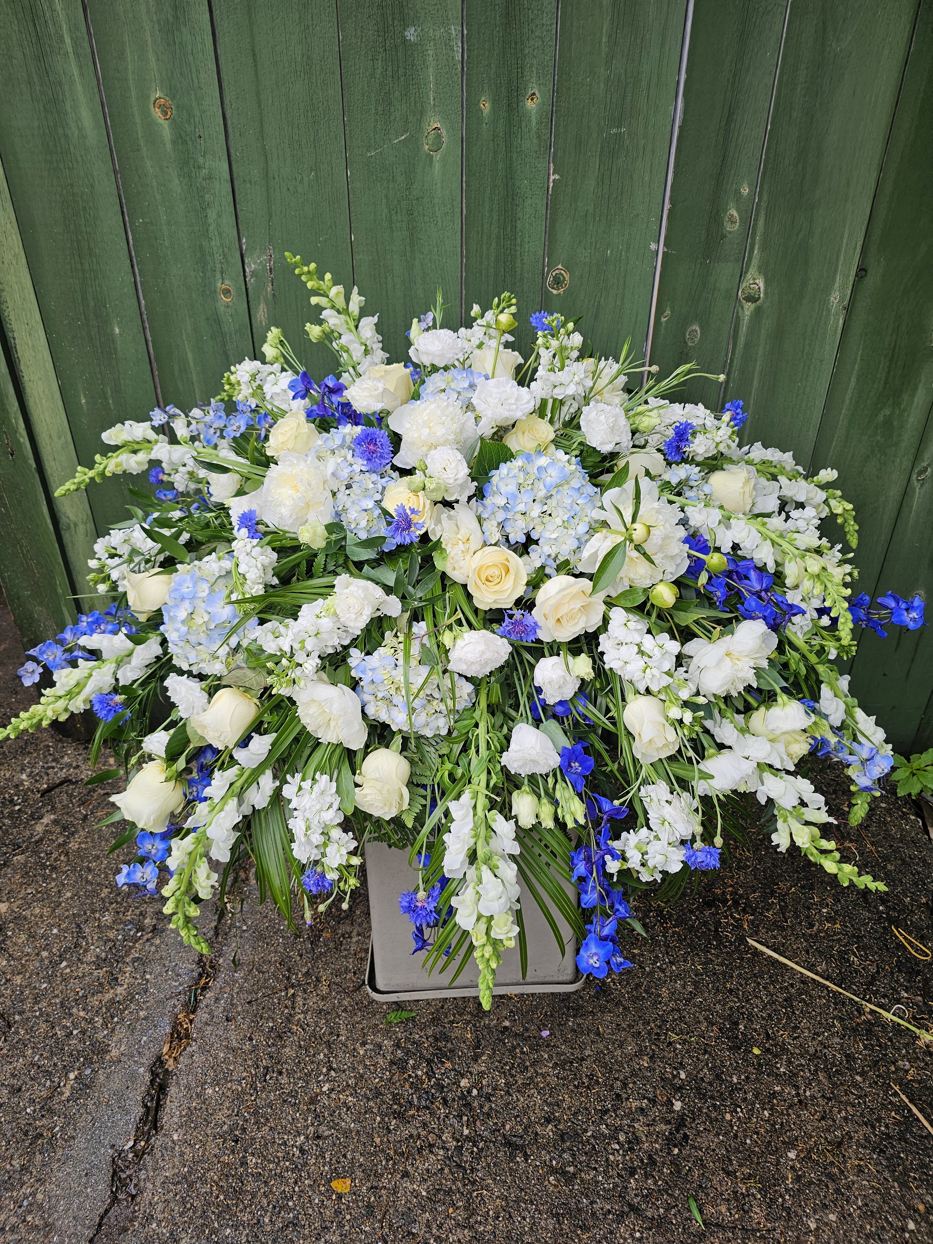 Ocean of Peace Casket Spray - A serene cascade of pale blue hydrangeas, white roses and carnations sets a peaceful tone in this sympathy casket spray, designed to comfort and honor. The cool white-and-blue palette and layered, expansive silhouette make this arrangement a fitting tribute for a funeral service or memorial, offering a quiet, composed presence that helps the person you're remembering feel held and respected.  This large, low spray is dense and lush, built with clusters of white roses and carnations, pale blue hydrangea, delphinium and vivid blue accent blooms plus snapdragons and daisies for texture and height. Long, arching stems and gently trailing blooms create a cascading effect over a simple square container that keeps the focus on the flowers and their soothing colors. 