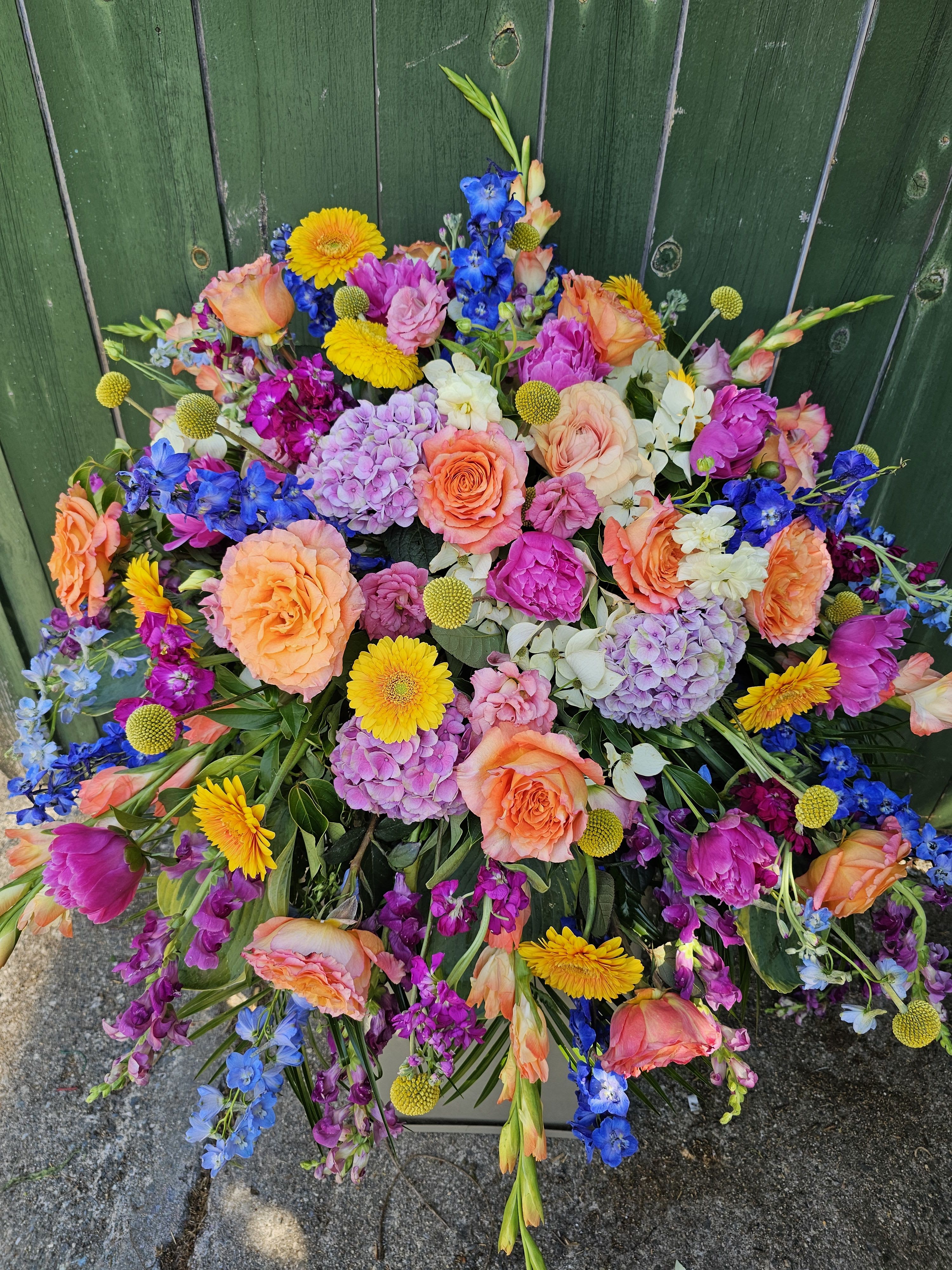 Celebration of Life Casket Spray - A lush, garden-style casket spray that brings a bright, comforting presence during a Celebration of Life or memorial service - perfect for honoring someone who loved color and joy. This funeral casket spray balances the dignity of roses and hydrangeas with the lively spirit of gerbera daisies and delphinium, making it a fitting tribute for a loved one who cherished springtime blooms or vibrant gatherings.  Generously rounded with a gentle cascading edge, the arrangement combines peach roses and pink-to-lavender hydrangeas for a soft, romantic base, punctuated by bright yellow gerbera daisies and vivid blue delphinium for high-contrast, uplifting accents. Alstroemeria and other seasonal fillers add texture and movement, creating a full, abundant presentation that reads as both elegant and celebratory. The mixed color palette of pink, orange, blue, and complementary tones ensures the spray stands out while remaining tasteful and comforting.  Designed to rest gracefully atop a casket, this spray offers the kind of visual warmth that helps attendees remember joyful moments and feel truly seen. Size and mechanics follow standard casket-spray dimensions to ensure proper placement; please contact us for delivery timing and any personalization requests to make this tribute uniquely reflective of your person.