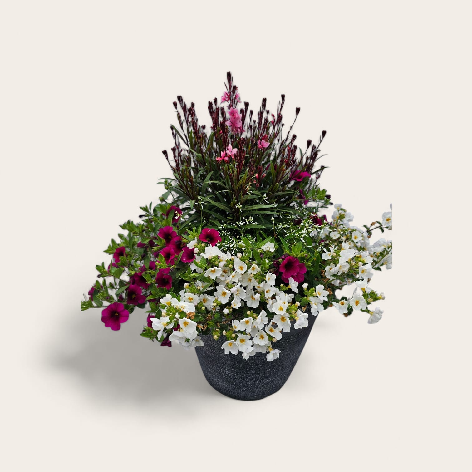 Perfect patio pot - 12"  planter filled with colorful annuals in assorted colors. Each container will vary in color assortment.