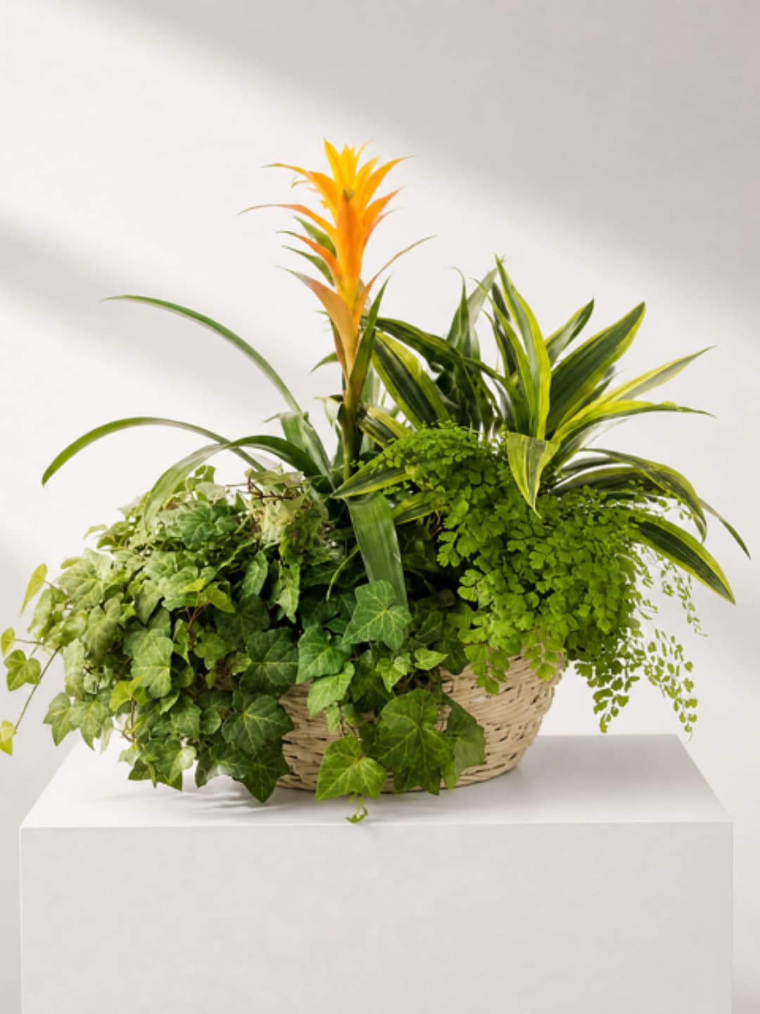 Tropical plant arrangement in a woven basket with orange and green foliage
