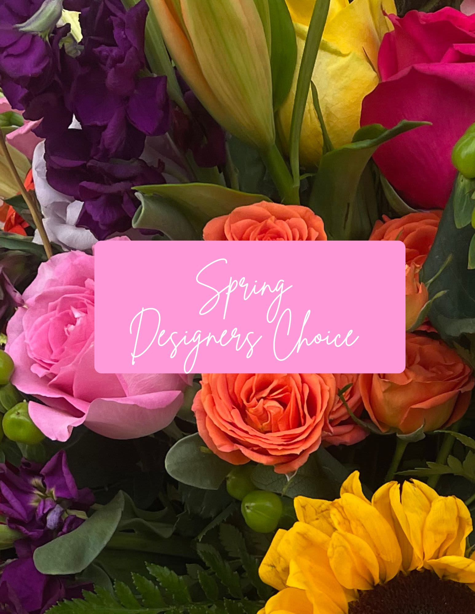Spring Designers choice arrangement  - An upbeat bouquet bursting with spring energy, this flower arrangement pairs pink and orange roses with a golden sunflower and a yellow lily bud for a joyful spring designers choice arrangement perfect for Mother's Day, Easter, birthdays, or a cheerful get-well surprise. The mix of warm roses and sunflower against cool, deep purple stock creates a lively color contrast that immediately reads as celebration and renewal-the kind of gift that will make the person you're thinking of feel brightened and noticed.  Flowers are clustered tightly for a dense, abundant look: soft rose petals, the bold round face of the sunflower, the sculpted yellow lily bud, and vertical sprays of purple stock for texture and height. Colors include pink, yellow, orange, and purple, combining classic spring tones with a modern, energetic palette. This arrangement is ideal for someone who appreciates vibrant color and a joyful statement piece; order with delivery for seasonal occasions or everyday gifting and the recipient will receive a fresh, professionally arranged bouquet meant to last and lift spirits.