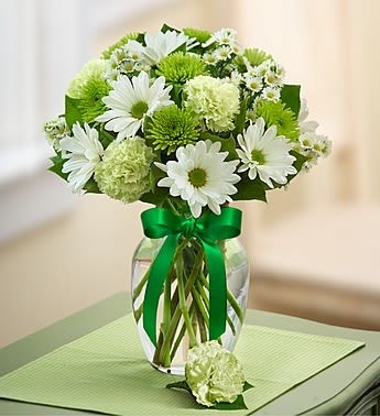 White daisies and green pom flowers in a glass vase with a green ribbon