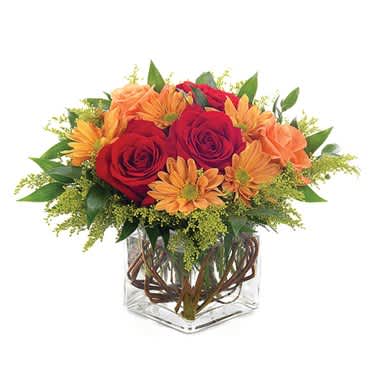 Autumn Surprise - Celebrate the magic of fall in all its spectacular glory with this stunning arrangement featuring roses, daisies, solidago, Italian ruscus and curly willow in a charming clear glass cube vase. Measures 10"H by 10"L.
