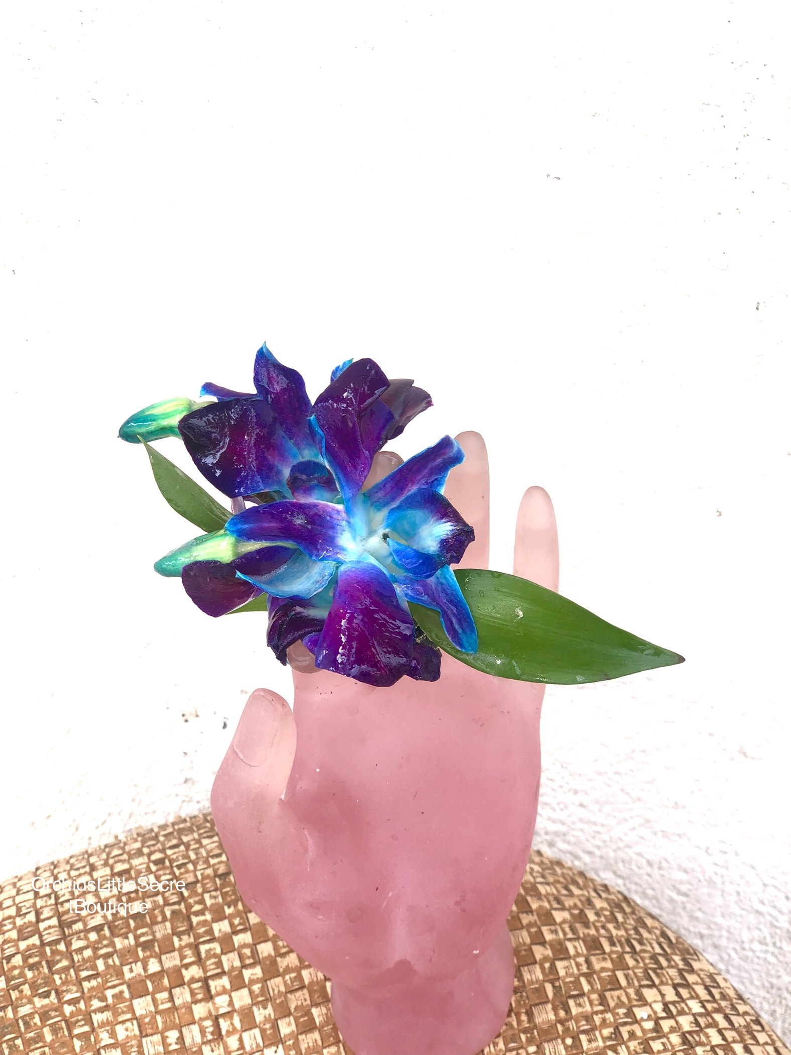 Blue and purple orchid bloom held in a pink hand-shaped vase