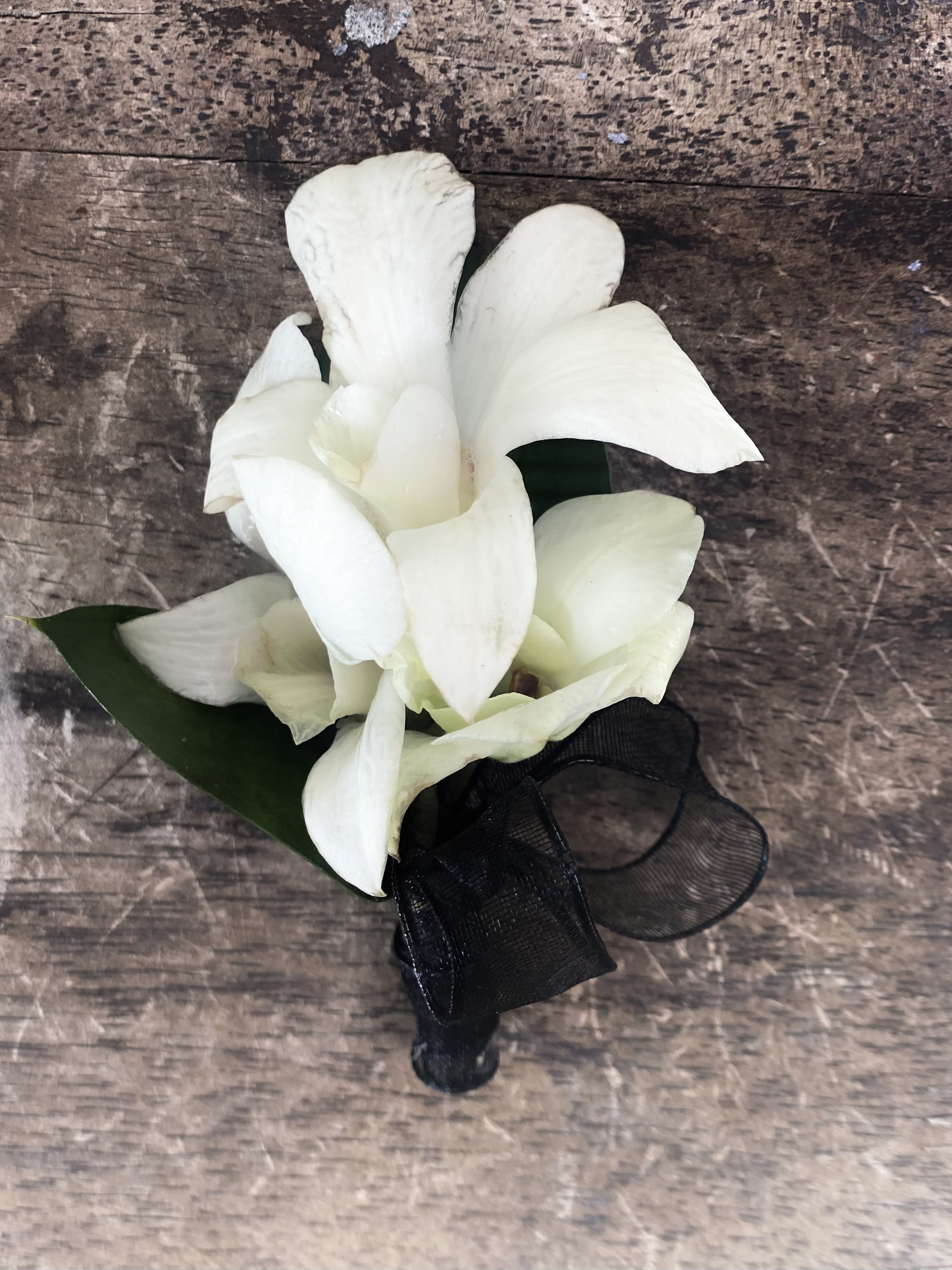 White orchid corsage with a black ribbon