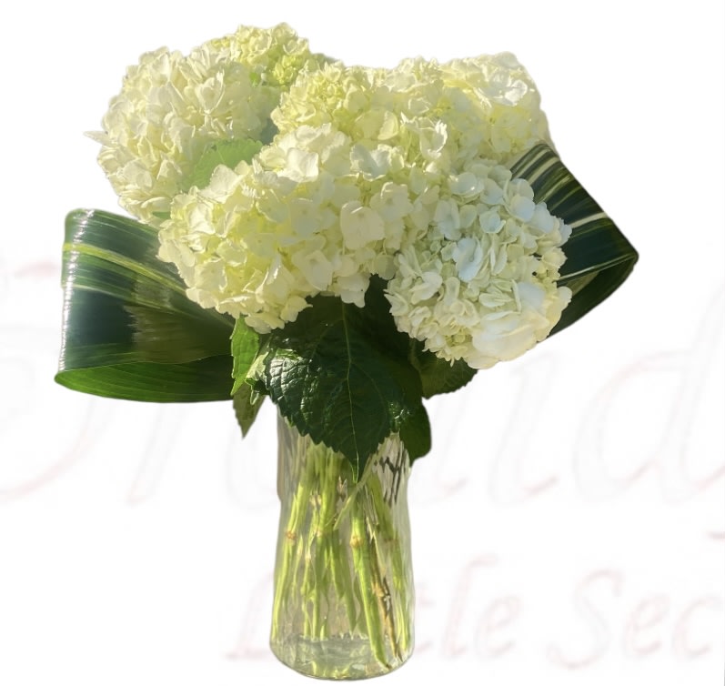 White hydrangea bouquet in a clear glass vase