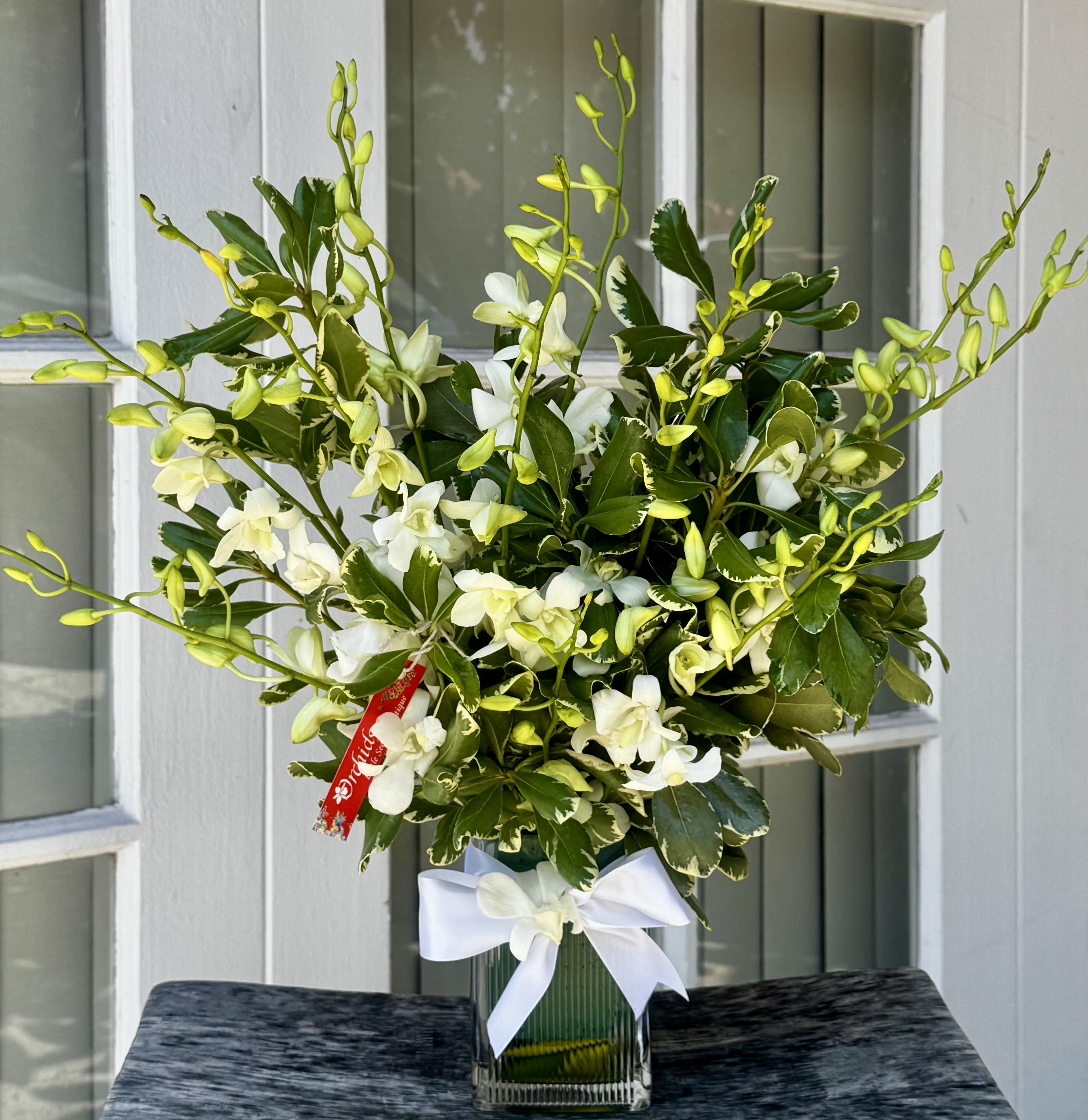 White Dendrobium Orchids Gift Arrangement  - Send this white floral tropical bouquet of gorgeous white dendrobium orchids as a get well gift or a birthday present! It will make a statement in any room. 