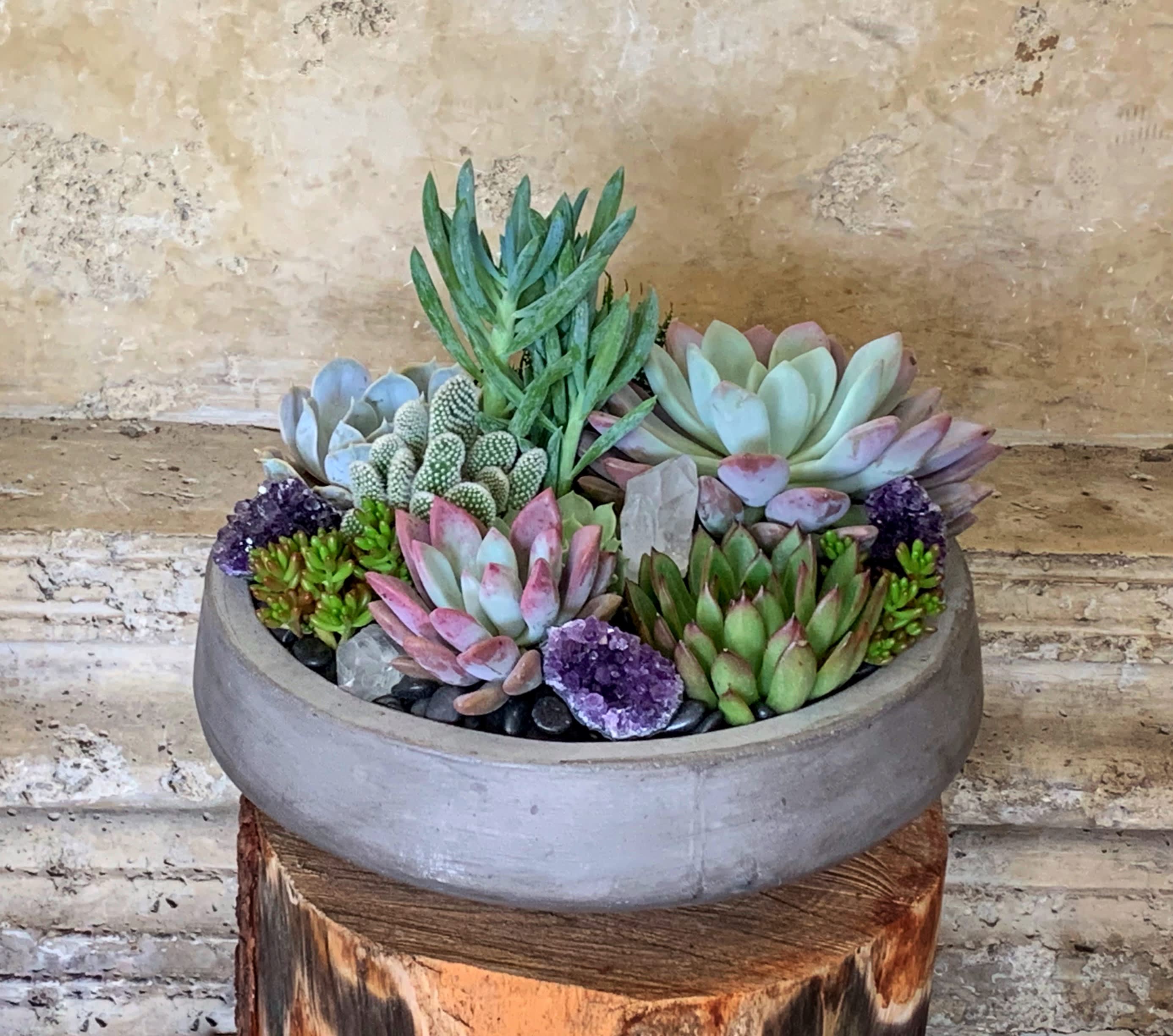 Succulent arrangement in a round gray bowl planter