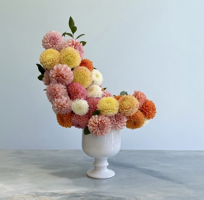 Starburst Dahlia  - This arrangement is a striking blend of artistry and floristry. Composed almost entirely of lush dahlias in shades of blush, peach, buttercream, ivory, coral, and apricot, it creates a sculptural silhouette that feels both modern and whimsical. Its flowing, asymmetrical design transforms each bloom into a brushstroke, making the arrangement feel as much like a work of art as a floral display. 