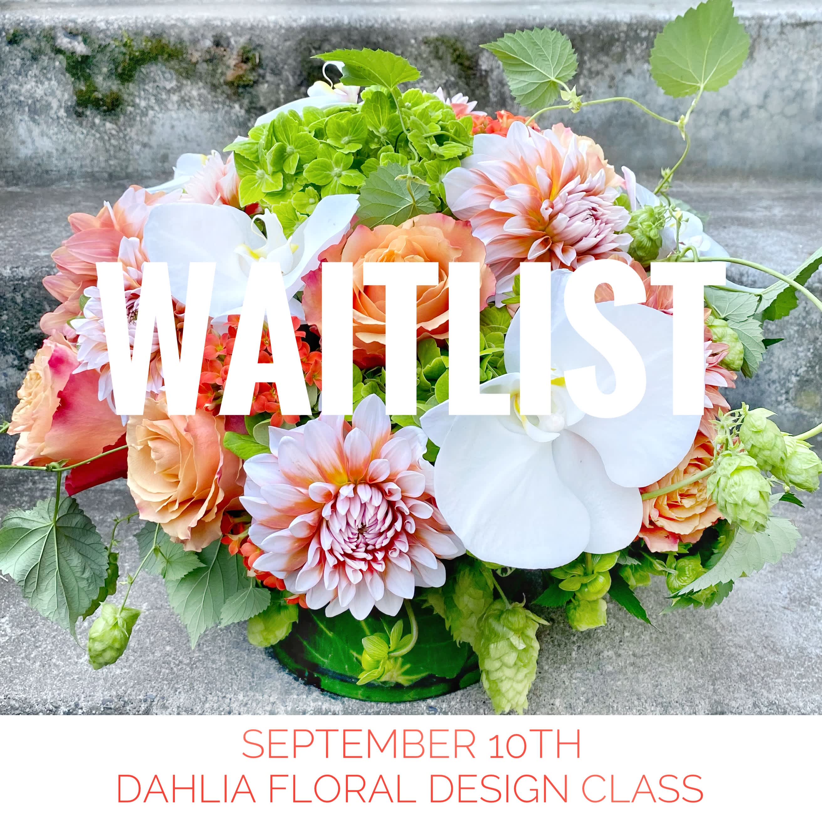 Peach and white dahlia arrangement with green hops in a low container