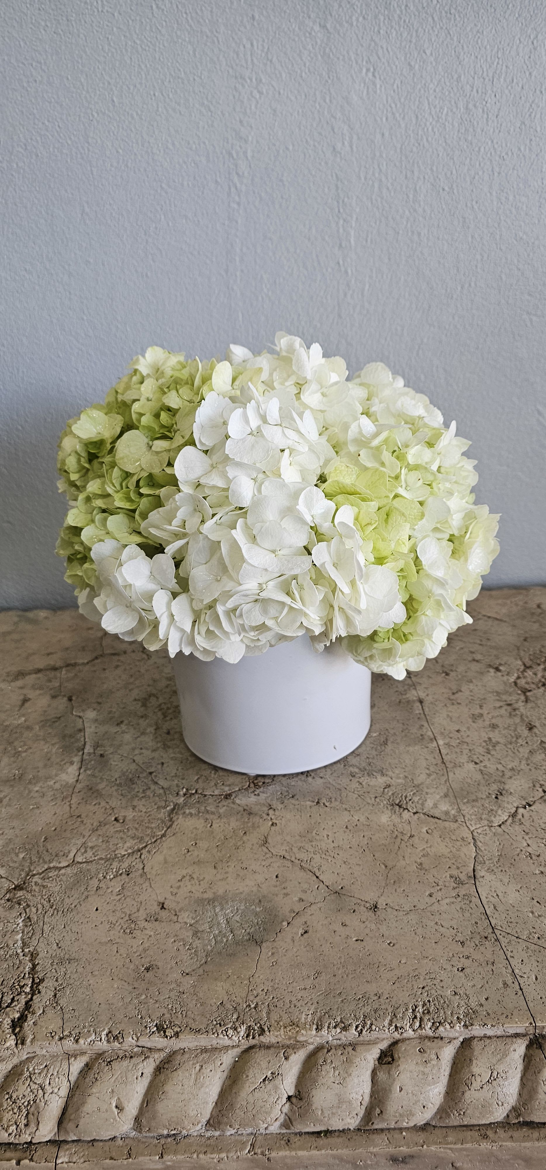 White and pale green hydrangeas arranged in a white container