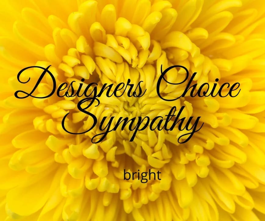 Yellow chrysanthemum with "Designers Choice Sympathy" text overlay