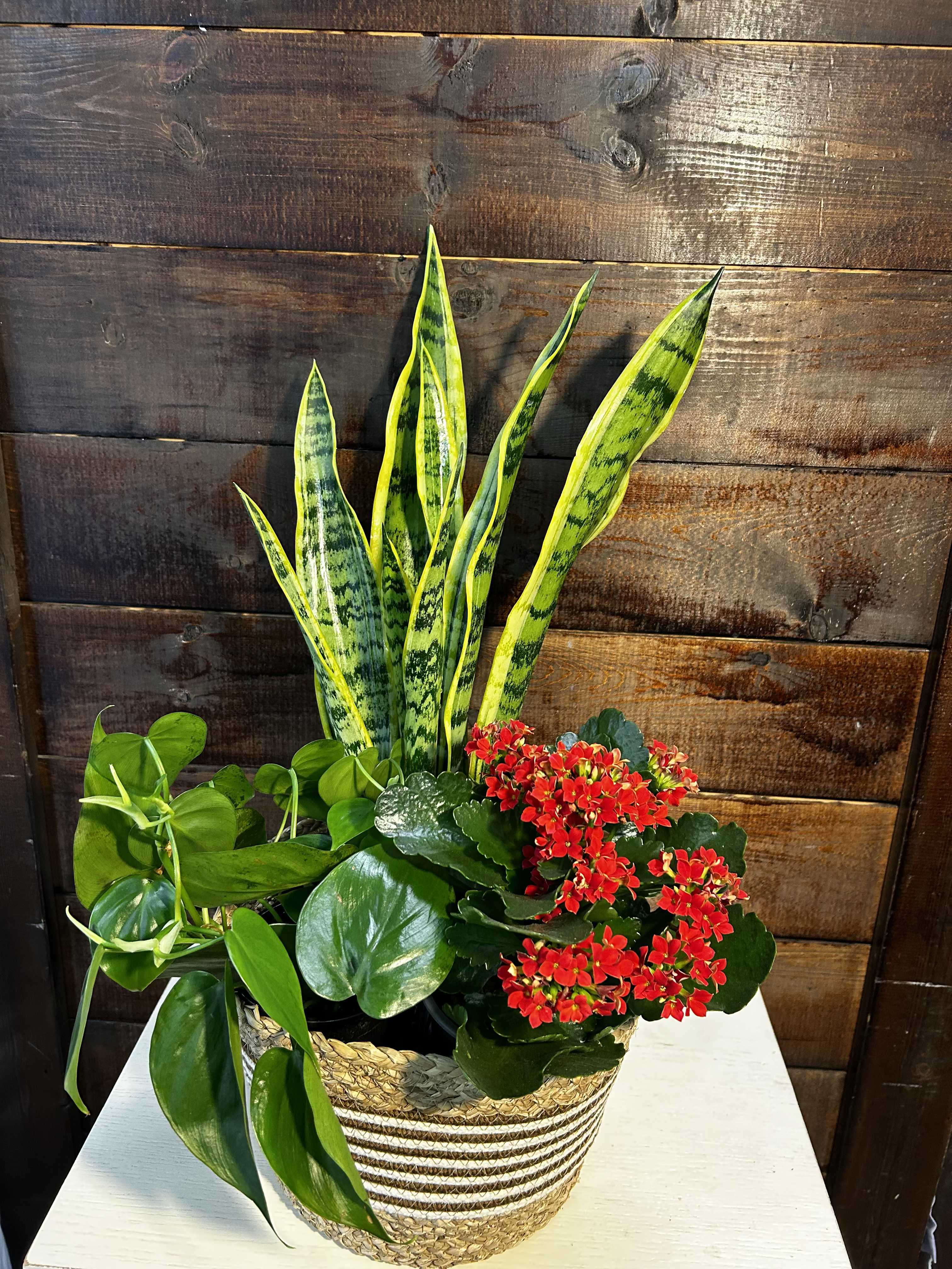 Mixed houseplant and red flowering plant garden in a woven basket