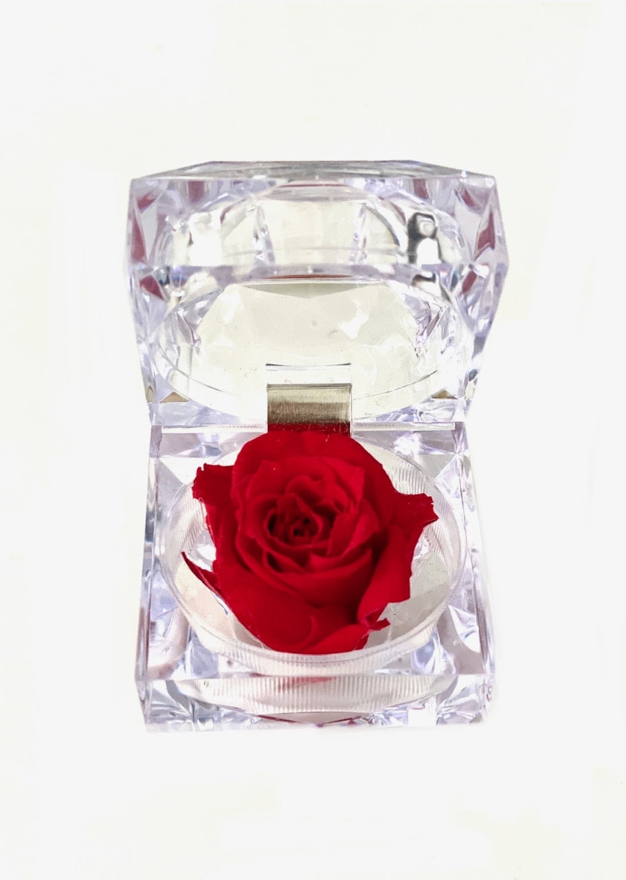 Single red rose in a clear faceted acrylic holder