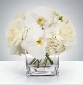 Linen by BloomNation™ - This petite all-white arrangement featuring hydrangea and orchids is the perfect all-occasion gift. Send it for any holiday, event, or circumstance.  Approximate Dimensions: 8"D x 8"H