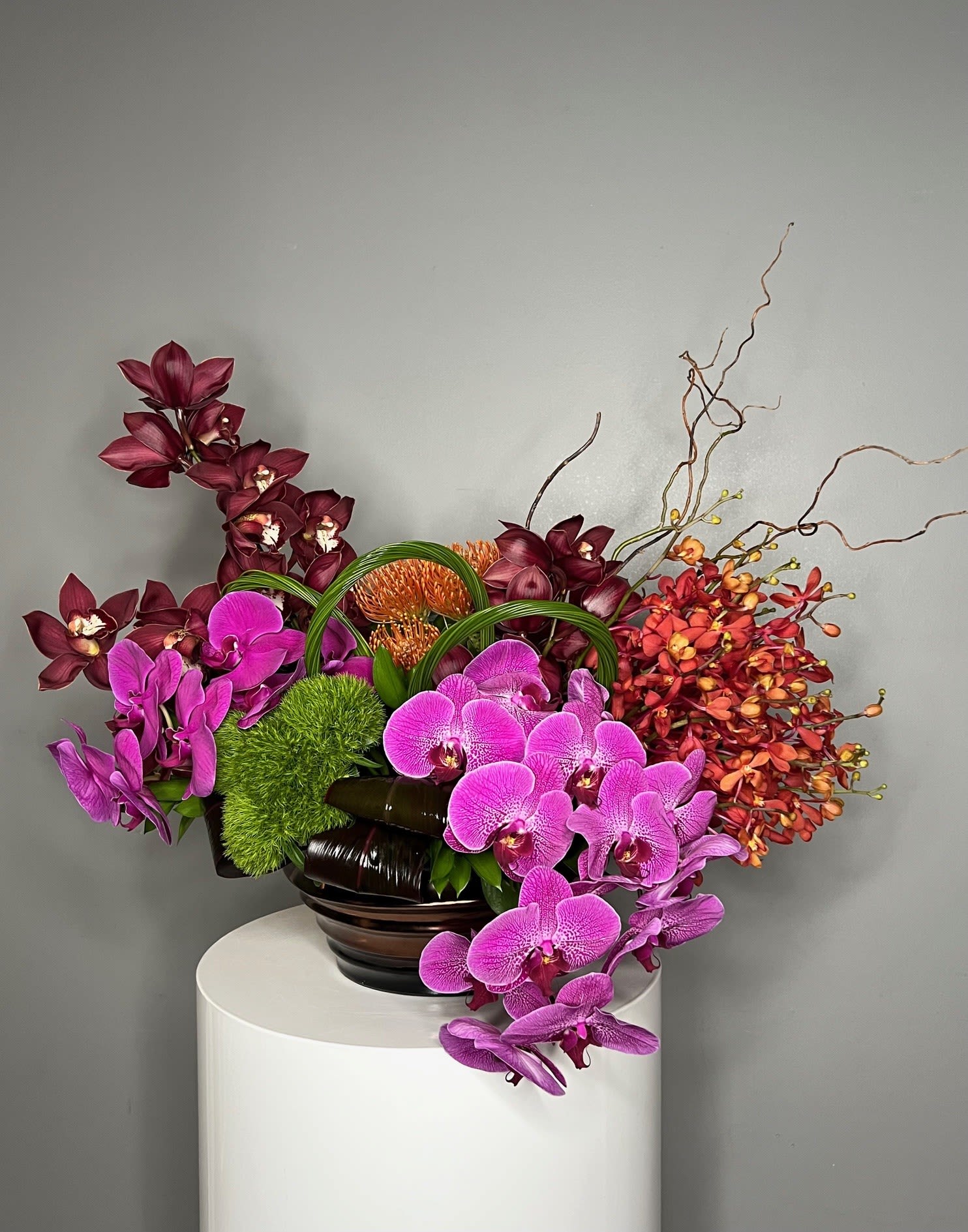 Tropical Orchids ™ - This striking arrangement showcases vivid orchids in deep burgundy, fiery orange, and vibrant magenta, accented with lush green moss and curly willow branches. Designed in a sleek black vessel, it’s a bold and modern statement piece full of color and texture.