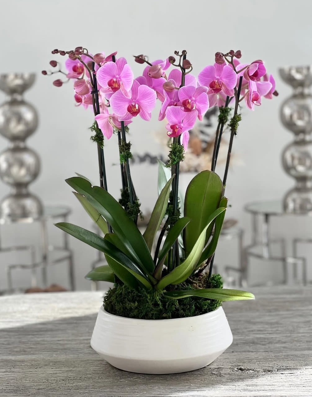 Pink orchids arranged in a white bowl planter