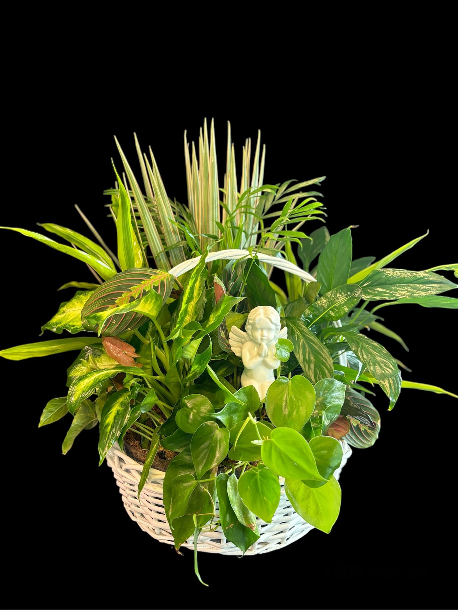 Mixed green houseplants in a white wicker basket with a small angel figurine