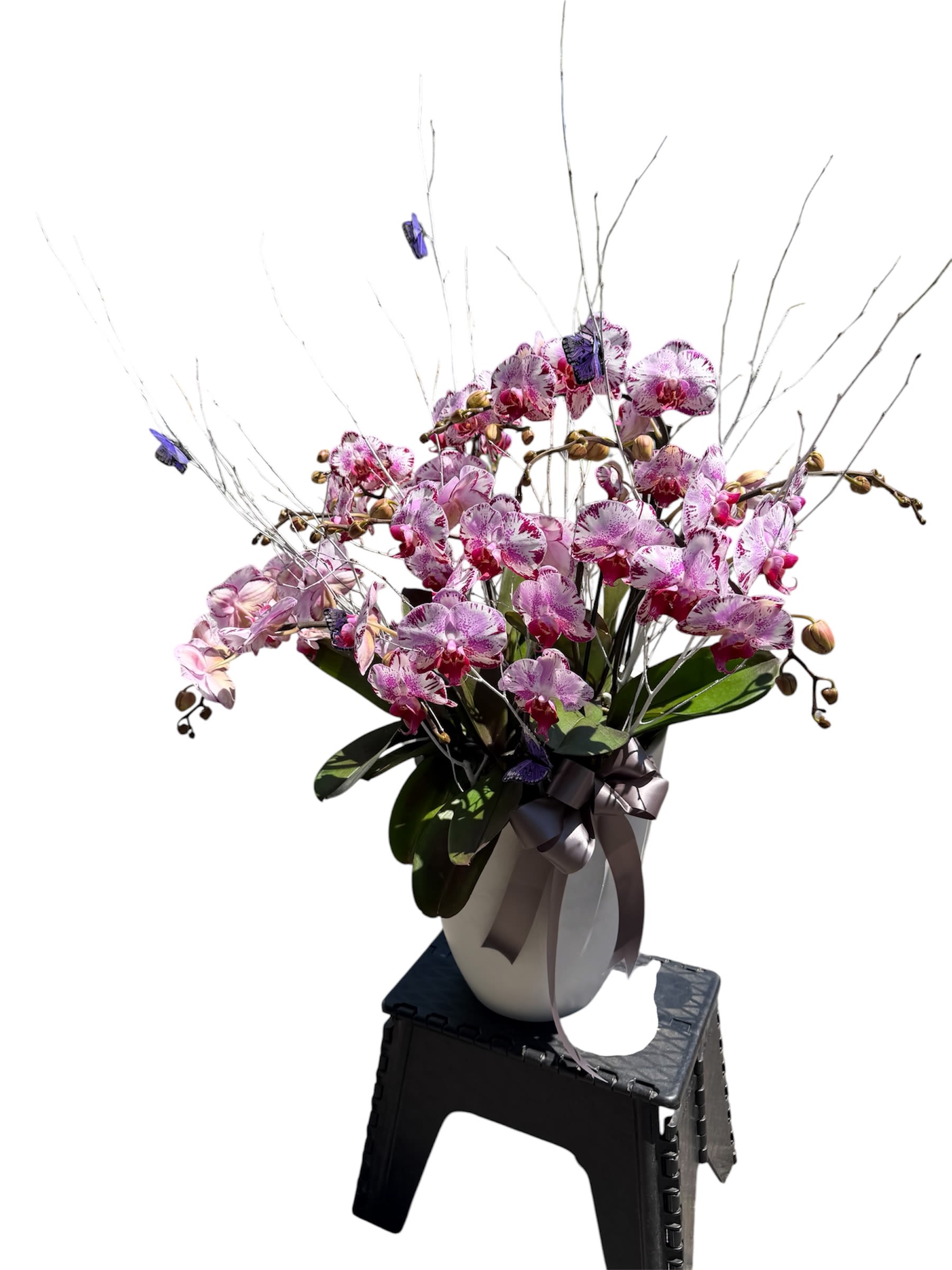 Botanical Bliss - A luxurious 12‑stem lavender variegated orchid plant presented in a white ceramic vase, accented with white curly willow, a purple butterfly, and a soft gray ribbon along the side.