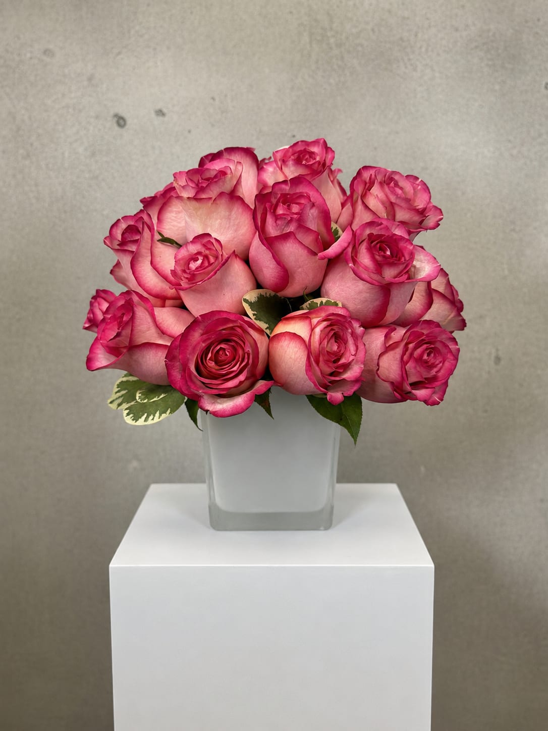 Pink roses arranged in a clear square vase