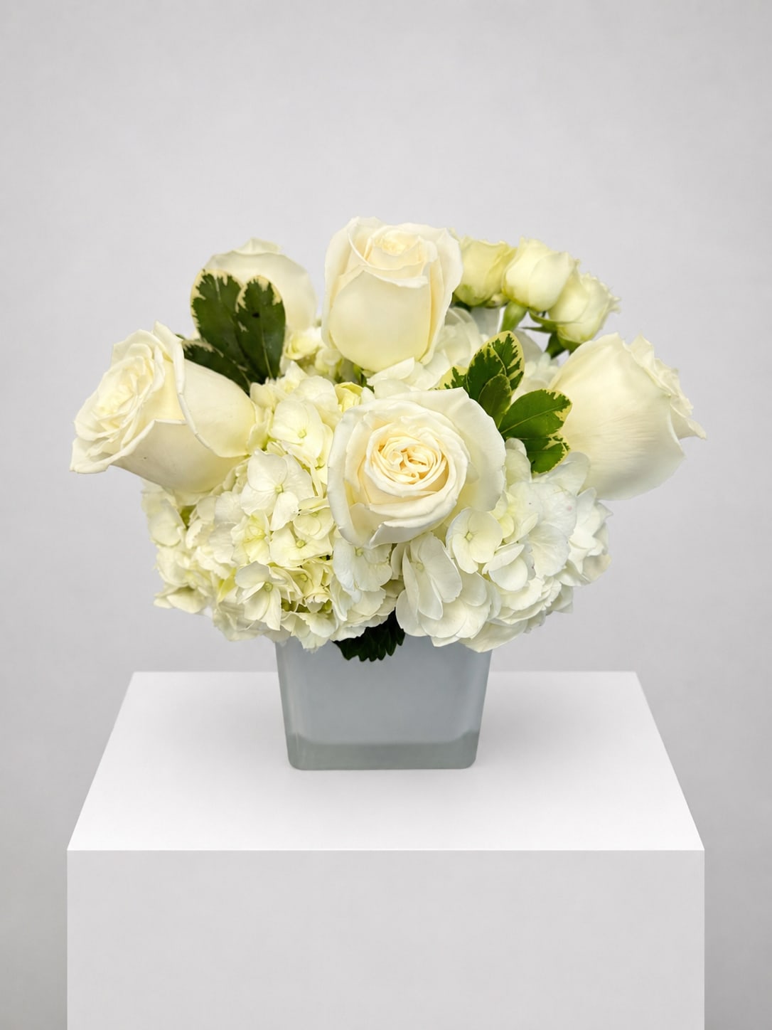 White rose and hydrangea arrangement in a square glass vase