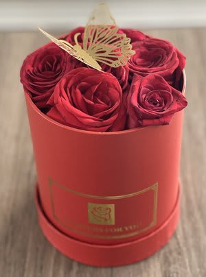 Four red roses in a round pink box with a butterfly topper