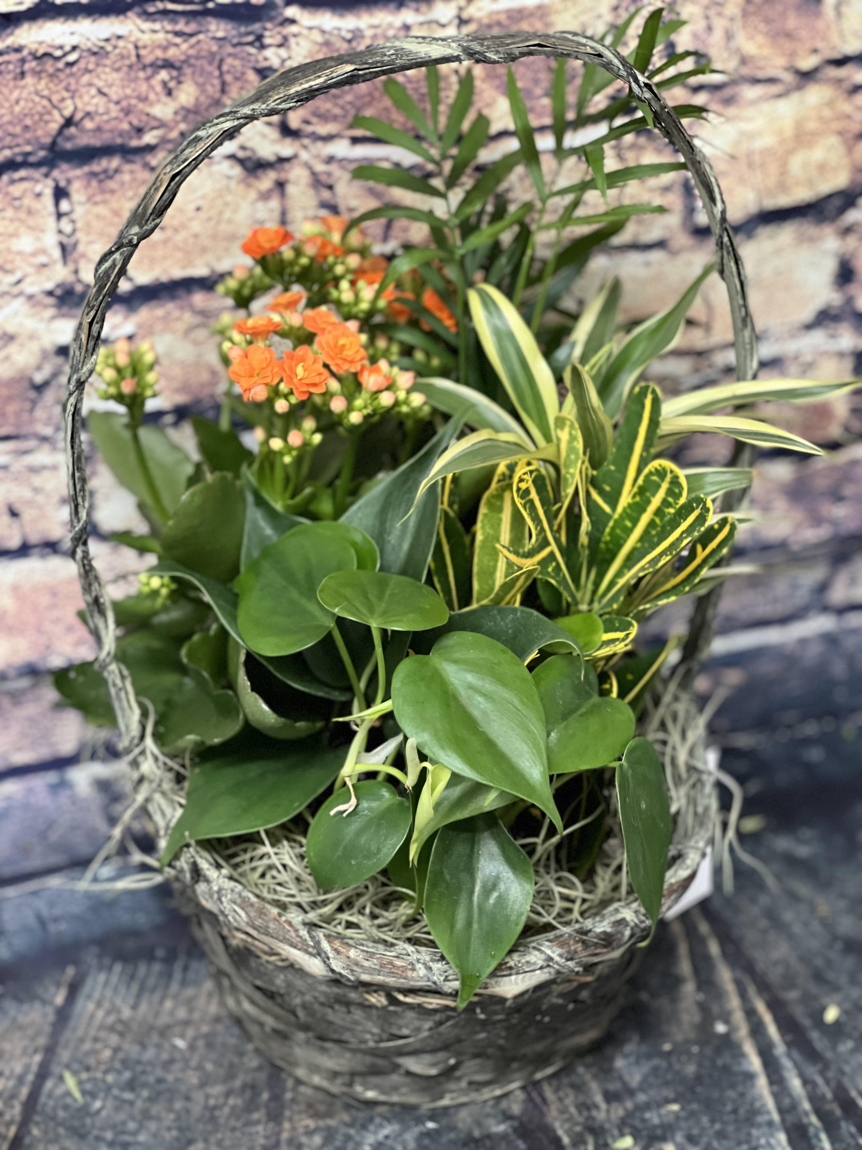 Basket of mixed potted plants with small orange flowers