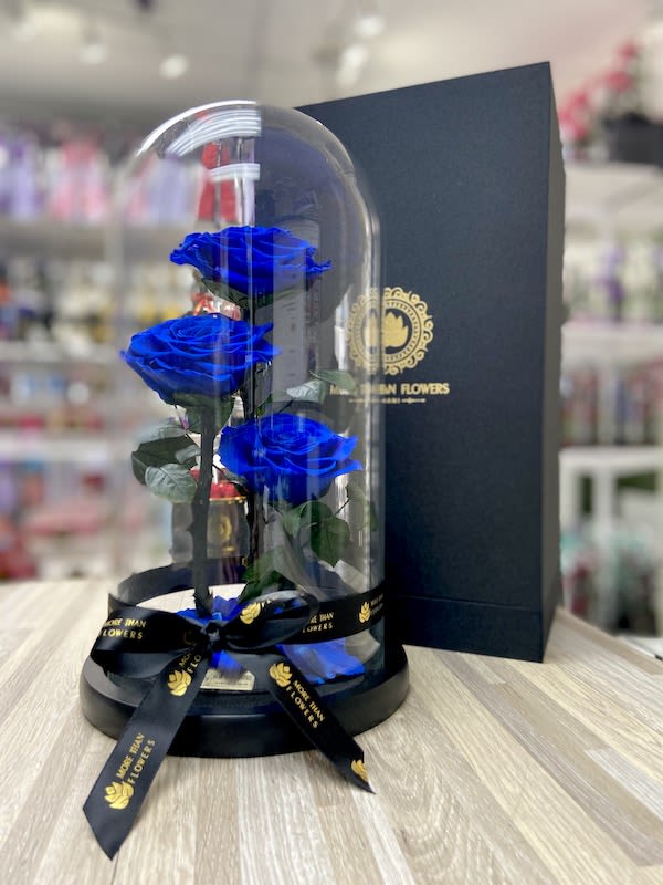 Three blue roses under a clear glass dome on a black base with ribbon and gift box.