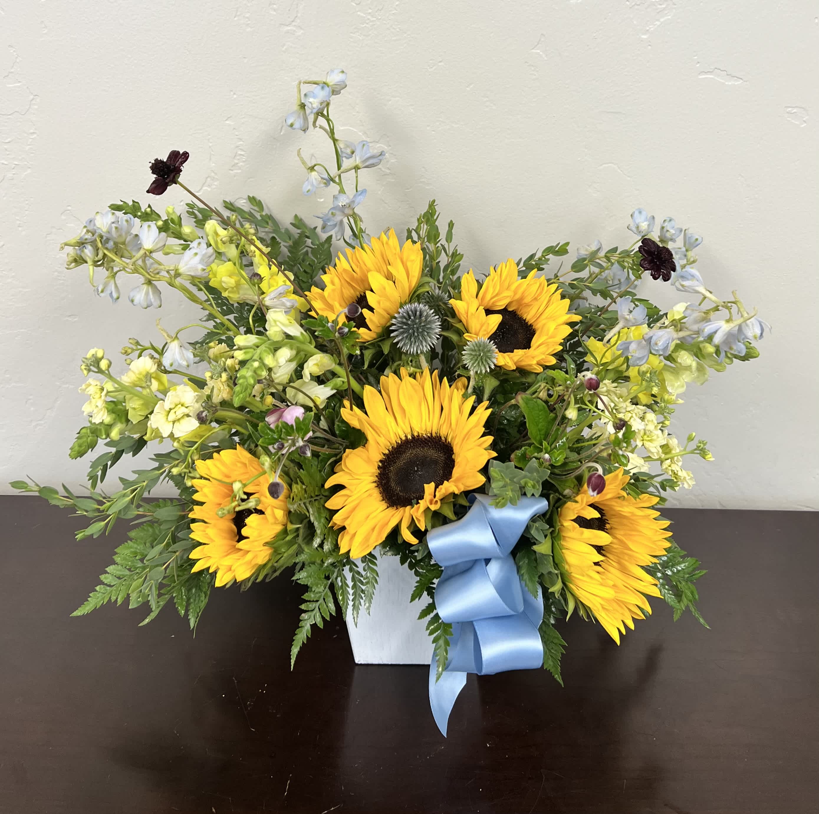 Sunflower arrangement in a white square vase with a blue ribbon