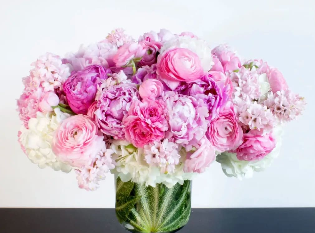 Peony Paradise (DL) - Embrace the exquisite beauty of modern floral design with our captivating arrangement featuring peonies, hydrangeas, and ranunculus, artistically arranged in a glass cylinder vase. This stunning ensemble showcases the perfect balance of elegance, romance, and contemporary style.  