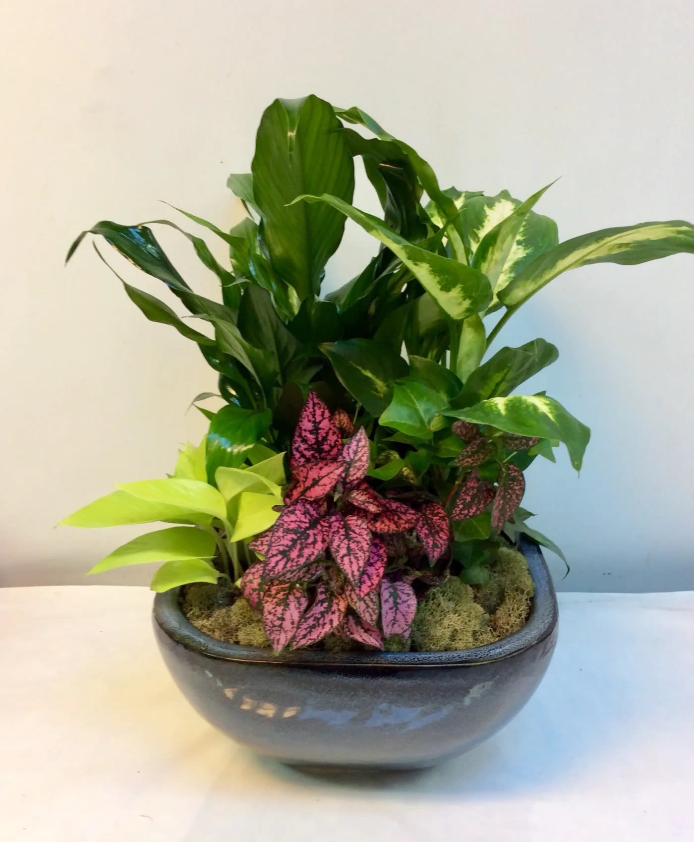 Serene Retreat by Hudson Flower Shop - This beautiful gift of mixed green plants is a garden of delights. Perfectly at home inside a home or office, it's a great gift for all reasons and seasons.  