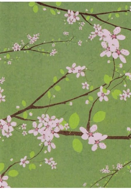 Cherry blossom branches on a green patterned background