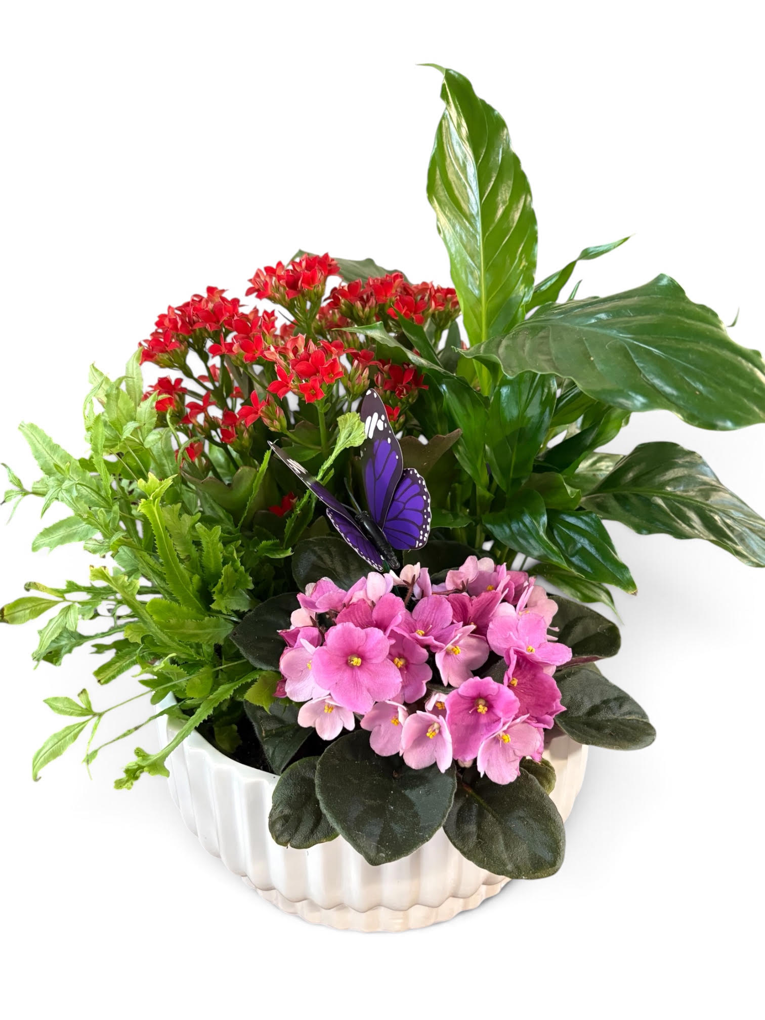 Potted arrangement of pink and red flowers with a purple butterfly decoration