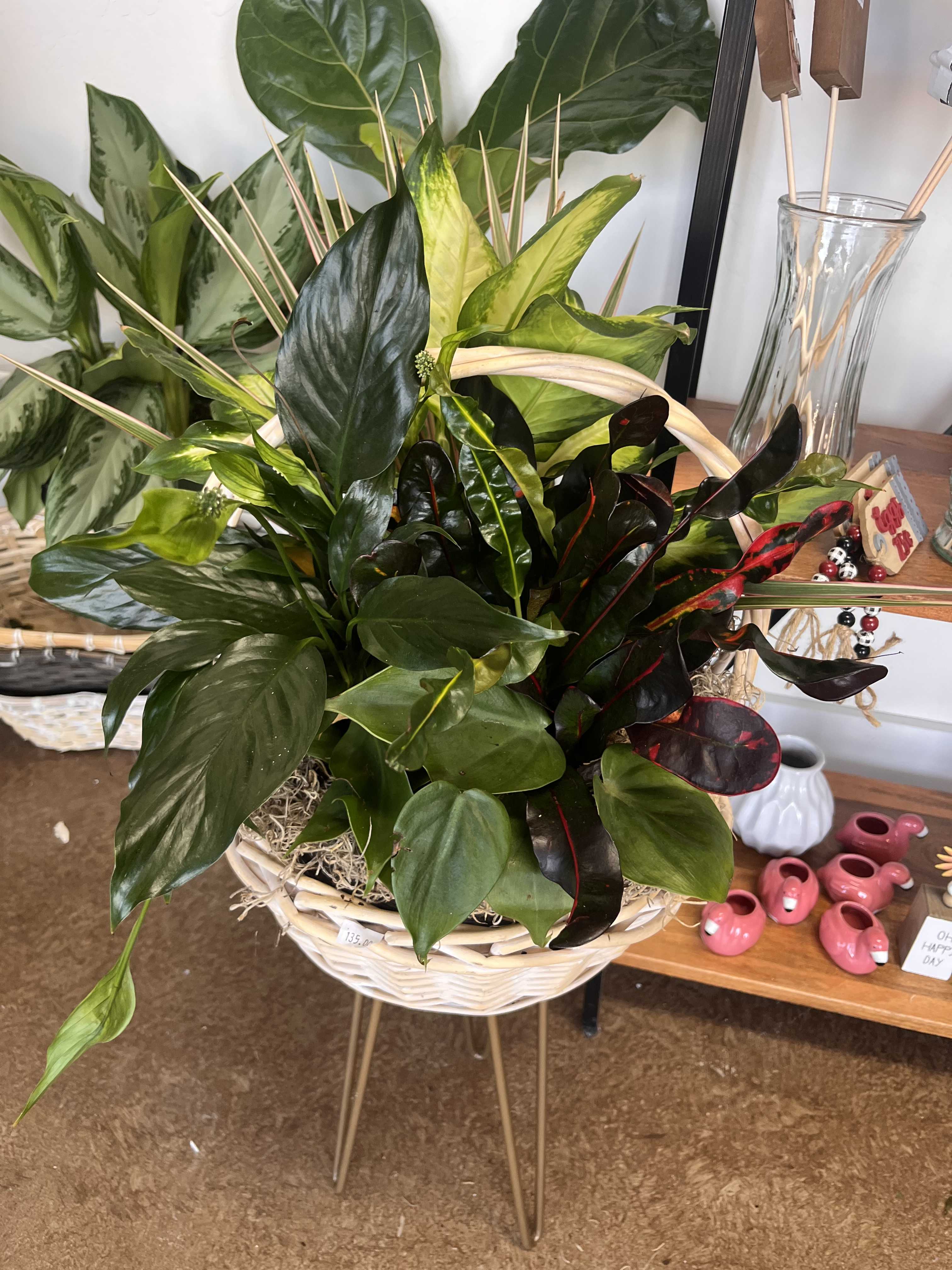 Mixed tropical foliage arrangement in a white basket
