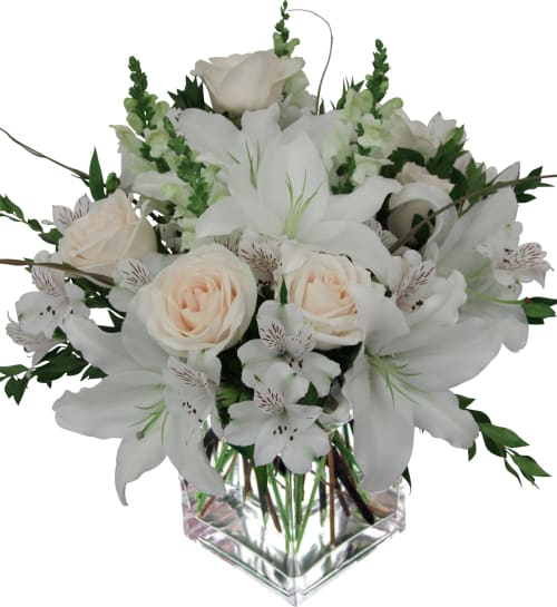 Simply White bouquet -  Modern arrangement of soft blooms that show you are thinking of them. White lilies, asters and carnations with cream roses are nestled in a clear glass cube vase.