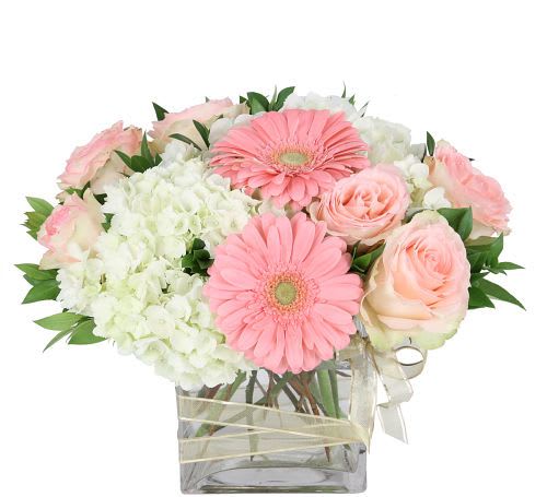 Delicate arrangement - A truly soft and delicate arrangement in shades of light pinks and whites. Featuring light pink roses, gerbera daisies, and fluffy white hydrangea.