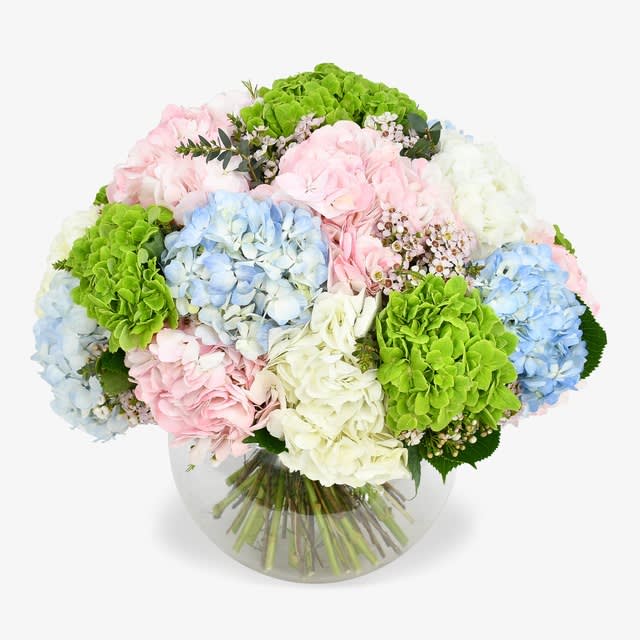 Sweet Hydrangea Bouquet - An amazing mix of pink, white, green and blue coloured hydrangeas. This is an abundant hand tied bouquet that is guaranteed to beautifully adorn any household. Please be aware that hydrangeas change colours as seasons change