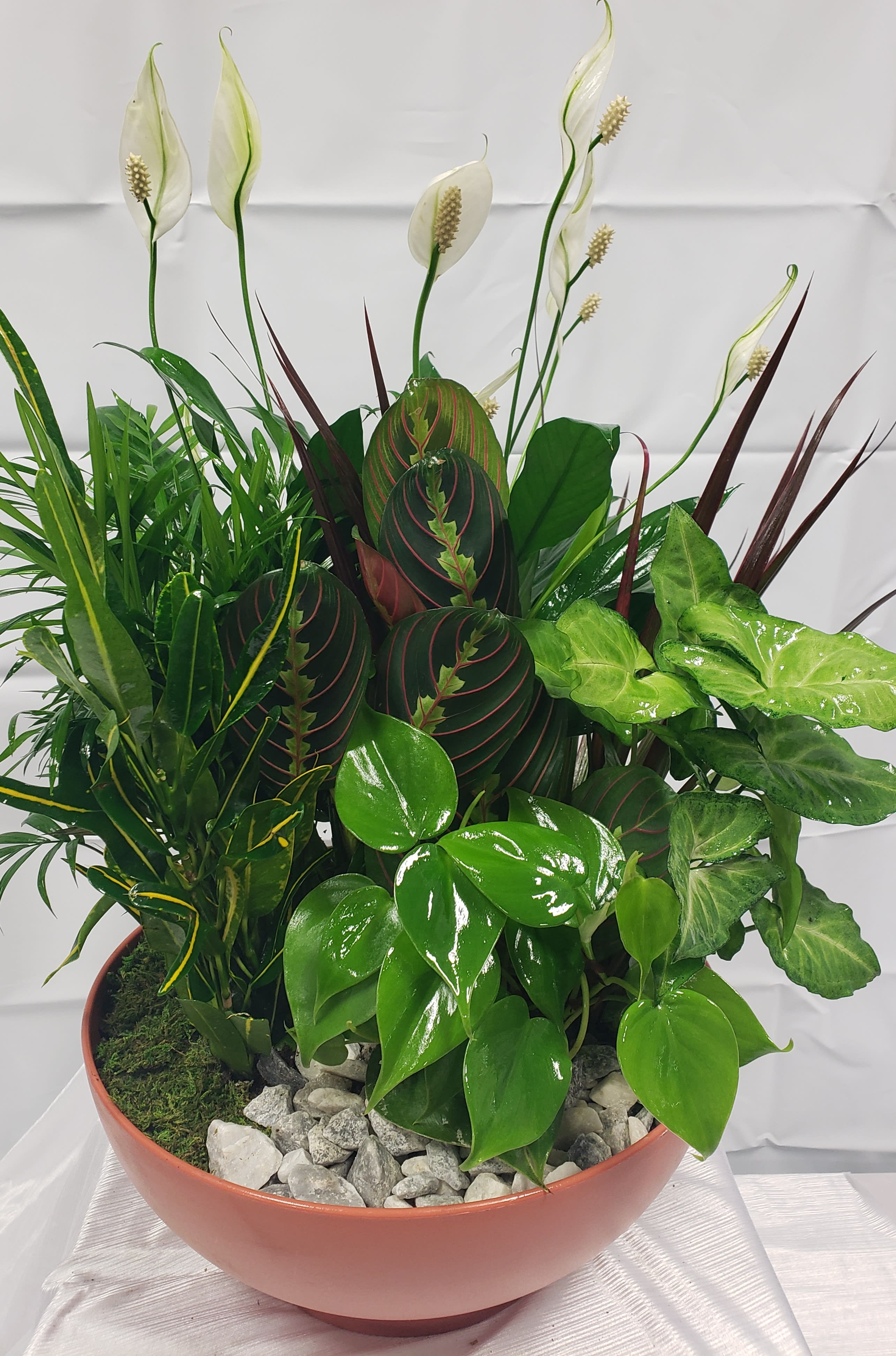 Mixed potted plant arrangement with white spathes and glossy green foliage