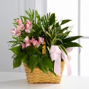 Pink flowers in a woven basket with a pink ribbon