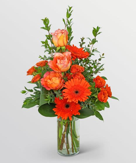 Day Break  - Take a Break from your busy day and smell the flowers