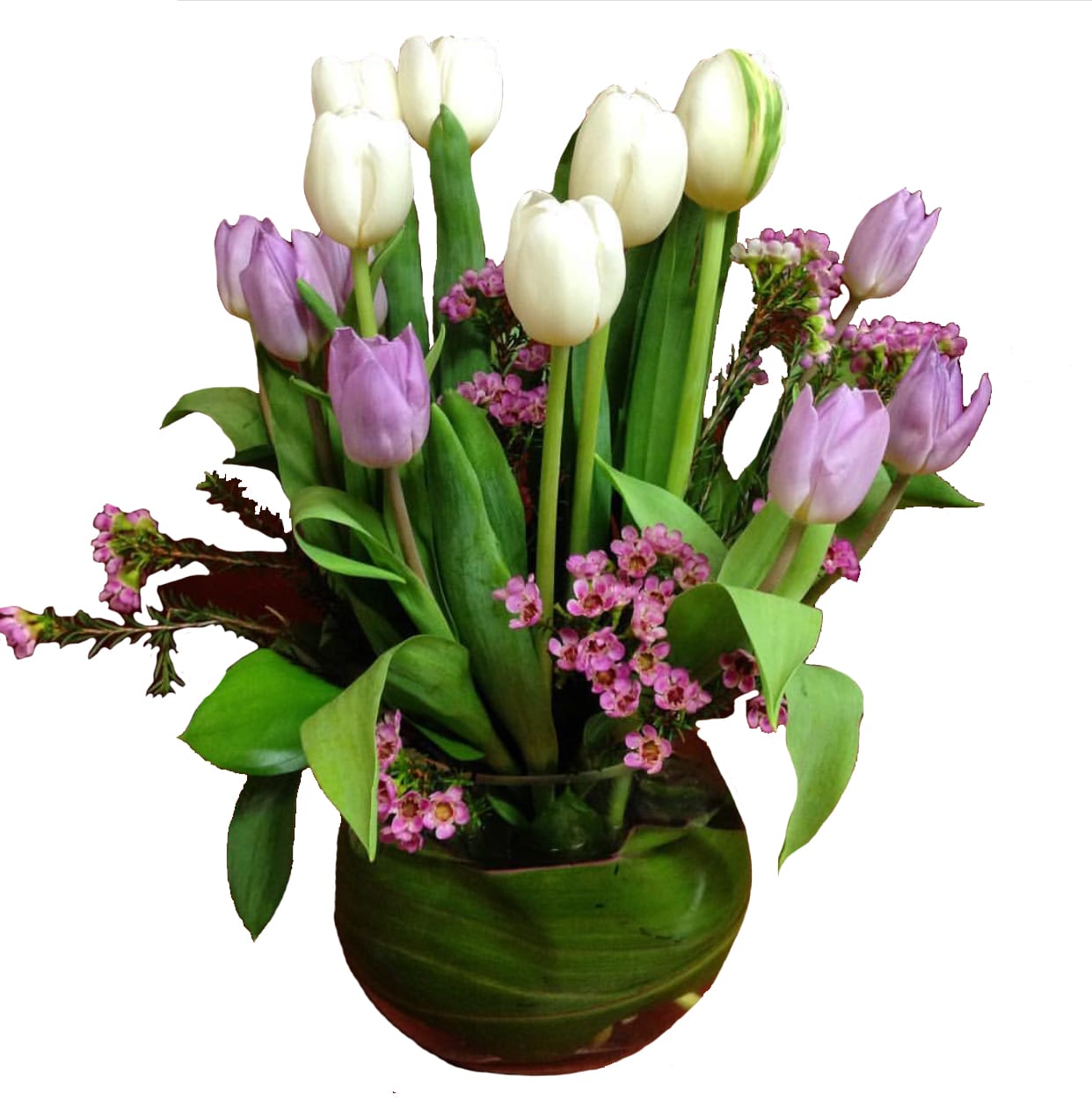 White and lavender tulips arranged in a green vase with small pink filler flowers